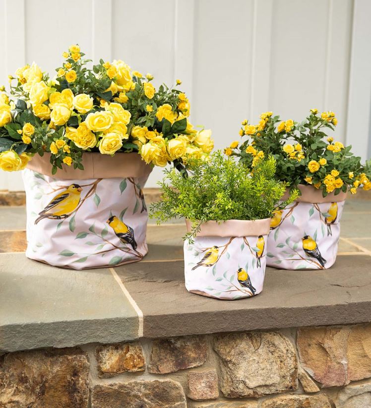 Plow & Hearth cour et jardin jardinières en toile doublée avec motifs d'oiseaux, ensemble de 3 - cardinal rouge 0BNZ947