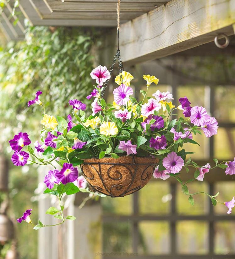 Plow & Hearth cour et jardin panier suspendu faux pétunia - violet 0BNZ968