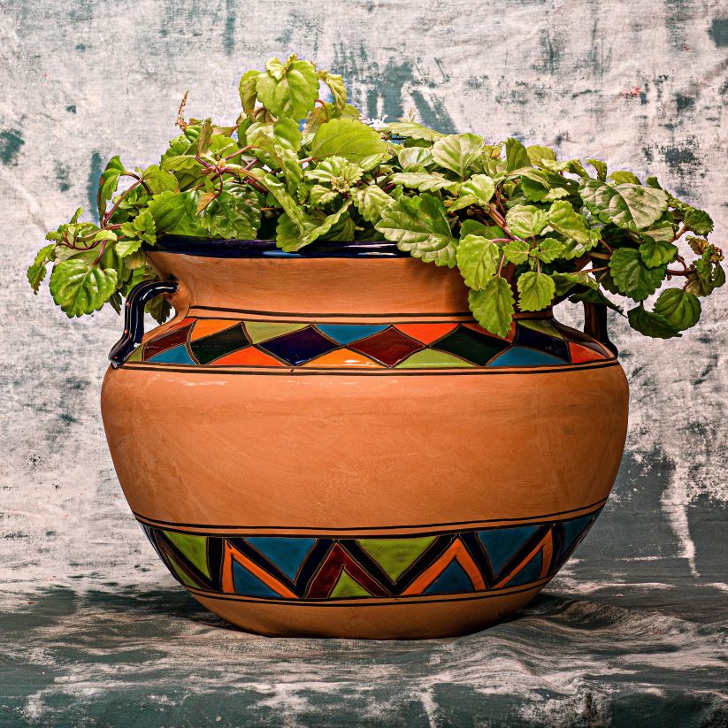 Plow & Hearth cour et jardin très grand pot de fleurs talavera chata multicolore 0BNZ935