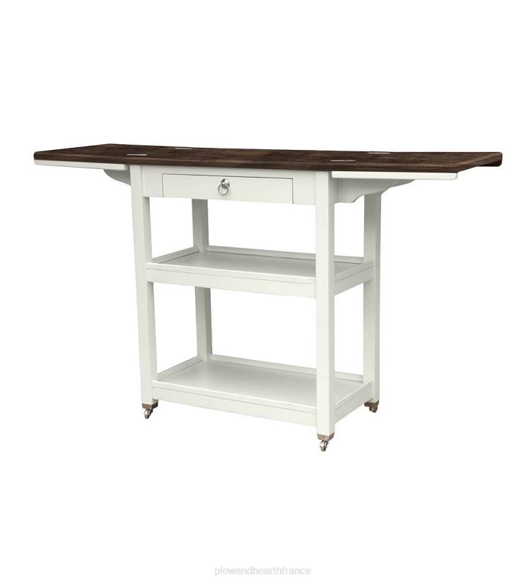 Plow & Hearth meubles Laurel Ridge Farmhouse Collection Shelby Bar Keep - Cacao 0BNZ2101