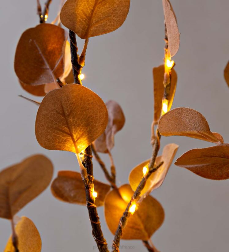 Plow & Hearth saisonniers et cadeaux Arbre dollar en argent rose éclairé électrique intérieur/extérieur, 7'h avec 270 lumières - rose 0BNZ3215