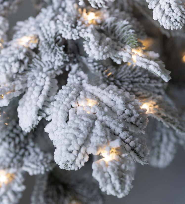 Plow & Hearth saisonniers et cadeaux Sapin de Noël alpin floqué Monte Rosa de 6' avec 150 LED blanc chaud 0BNZ3232