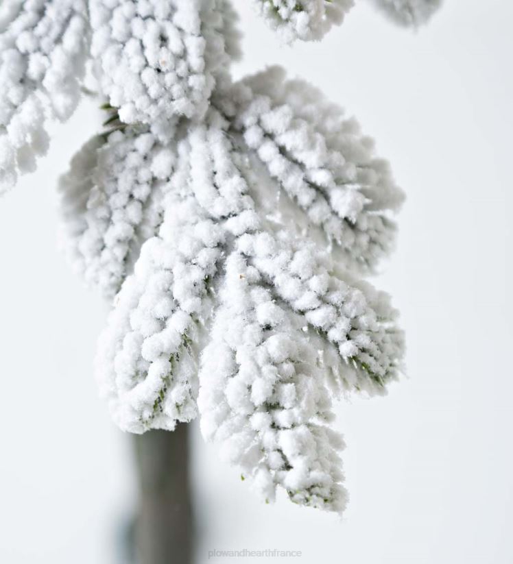 Plow & Hearth saisonniers et cadeaux Sapin de Noël alpin floqué Monte Rosa de 6' avec 150 LED blanc chaud 0BNZ3232