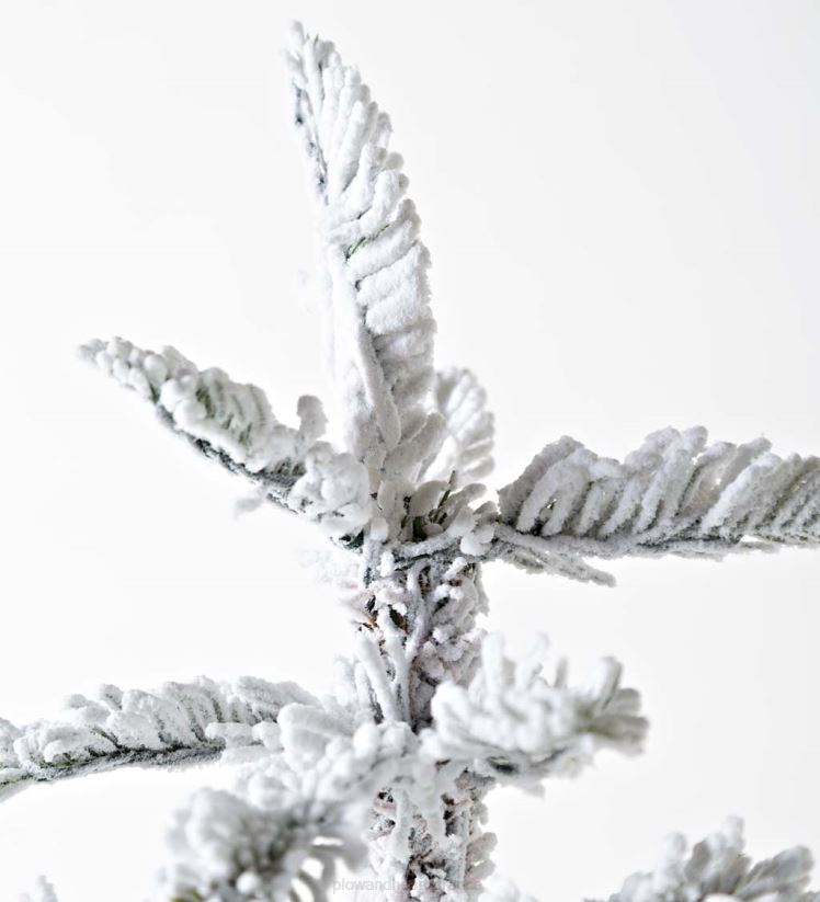 Plow & Hearth saisonniers et cadeaux Sapin de Noël alpin floqué Monte Rosa de 6' avec 150 LED blanc chaud 0BNZ3232