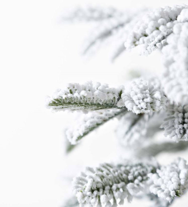 Plow & Hearth saisonniers et cadeaux Sapin de Noël alpin floqué Monte Rosa de 6' avec 150 LED blanc chaud 0BNZ3232