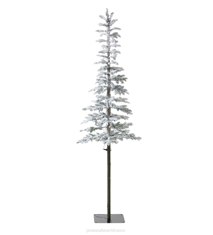Plow & Hearth saisonniers et cadeaux Sapin de Noël alpin floqué Monte Rosa de 7' avec 200 LED blanc chaud 0BNZ3238