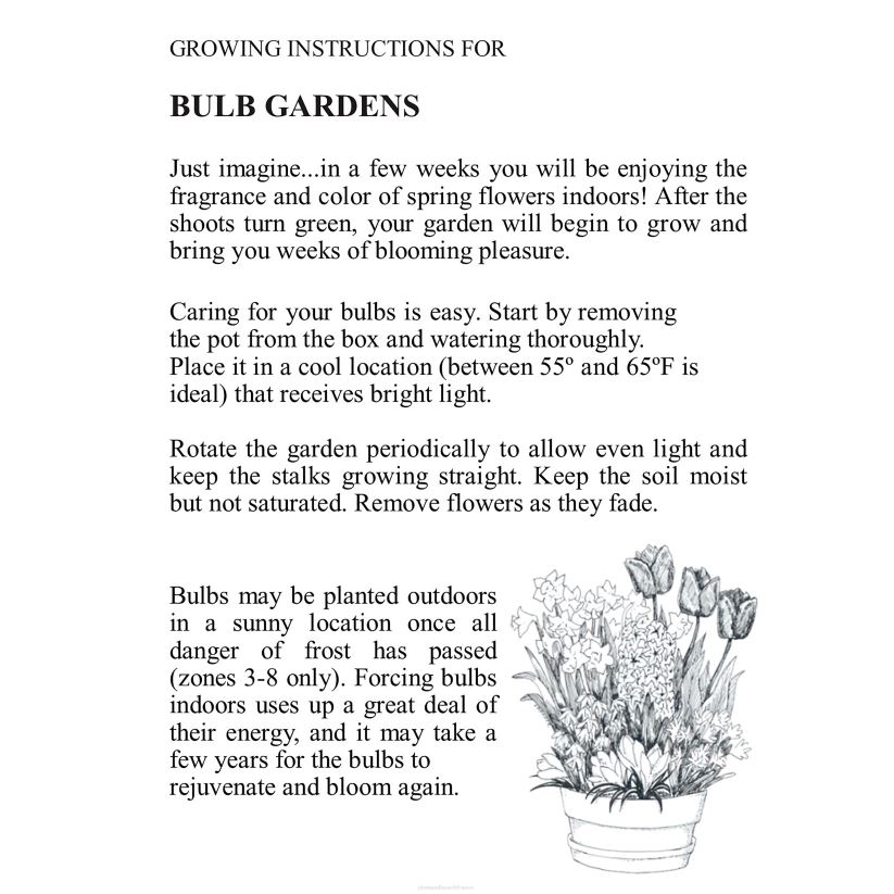 Plow & Hearth saisonniers et cadeaux bulbe de fleur hollandais parfumé cadeau de vacances jardin 0BNZ2999