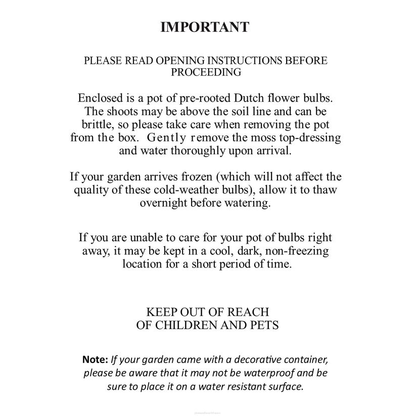 Plow & Hearth saisonniers et cadeaux bulbe de fleur hollandais parfumé cadeau de vacances jardin 0BNZ2999