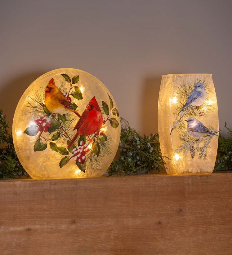 Plow & Hearth saisonniers et cadeaux Lumière d'accentuation en verre dépoli des cardinaux d'hiver 0BNZ2144