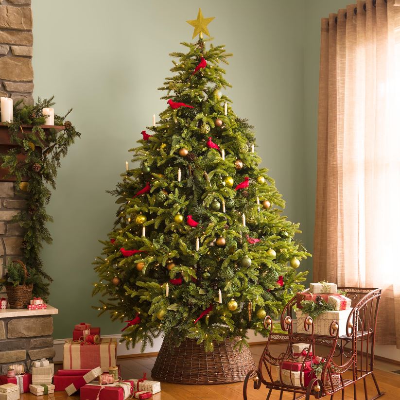 Plow & Hearth saisonniers et cadeaux Ornements d'arbre de Noël cardinaux à clipser, ensemble de 4 0BNZ2139