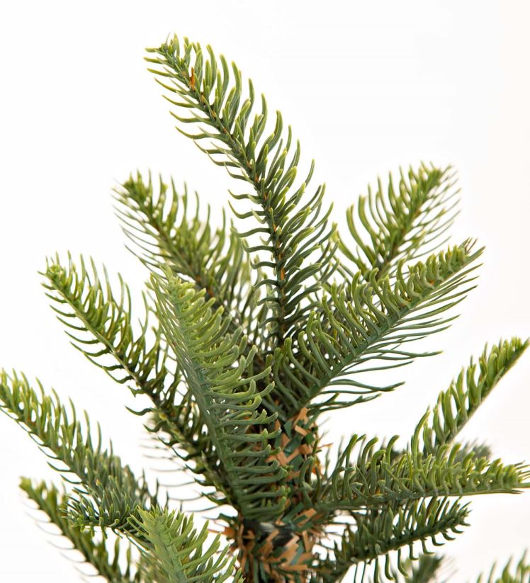 Plow & Hearth saisonniers et cadeaux arbre de table sapin alpin du Monte Rosa 0BNZ2147