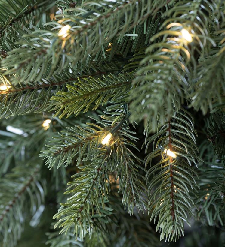 Plow & Hearth saisonniers et cadeaux Sapin de Noël en pin de Keswick avec lumières LED blanc chaud 0BNZ2293