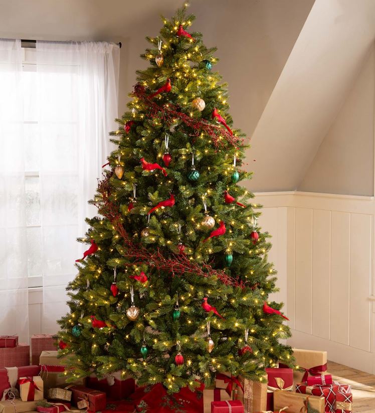 Plow & Hearth saisonniers et cadeaux Sapin de Noël en pin de Keswick avec lumières LED blanc chaud 0BNZ2293