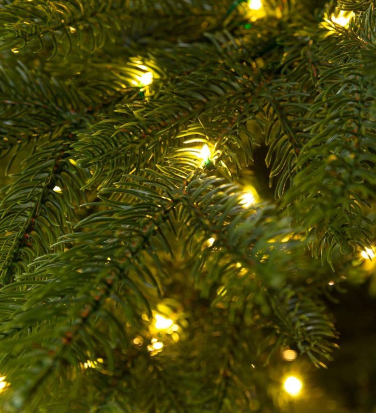 Plow & Hearth saisonniers et cadeaux Sapin de Noël pré-éclairé avec huit fonctions d'éclairage 0BNZ2294
