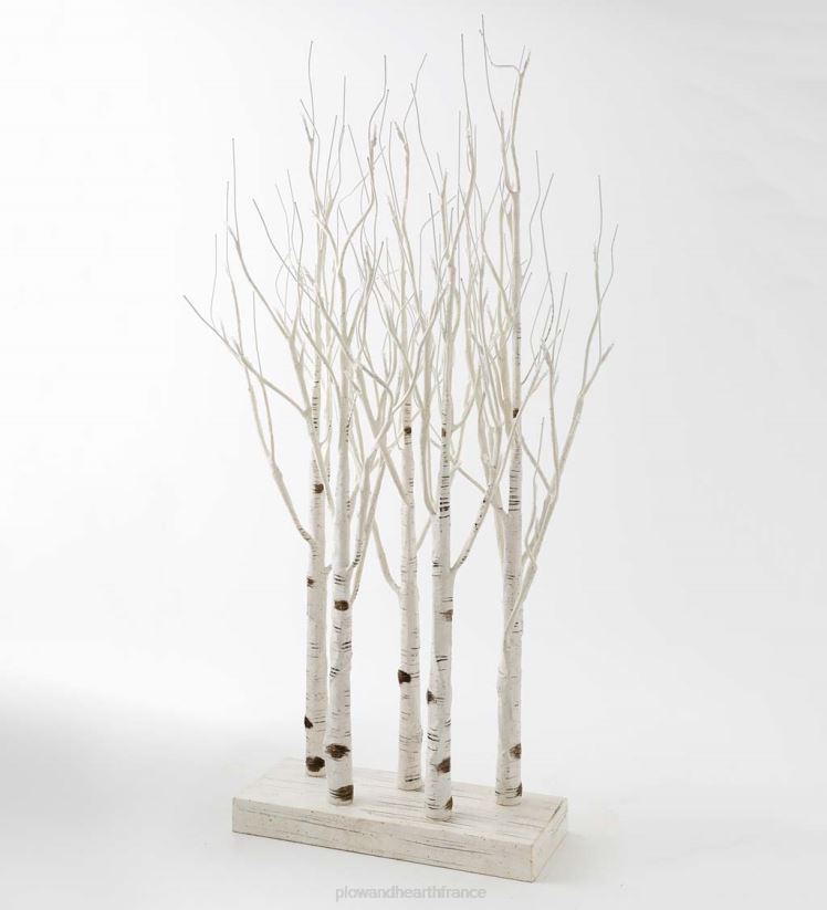 Plow & Hearth saisonniers et cadeaux accent d'arbre de ligne de bouleau éclairé 0BNZ2220