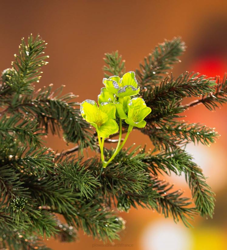 Plow & Hearth saisonniers et cadeaux kit complet de sapin de Noël dans une boîte avec lumières, décorations et sac de rangement 0BNZ2296