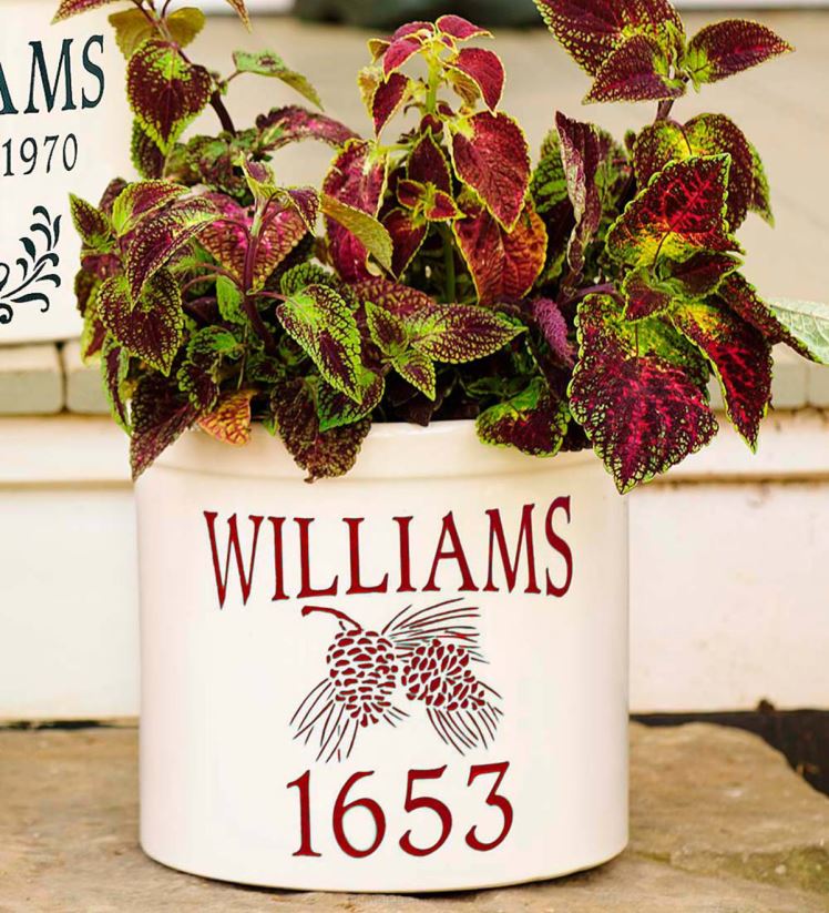 Plow & Hearth saisonniers et cadeaux pot de pomme de pin personnalisé - rouge 0BNZ3070