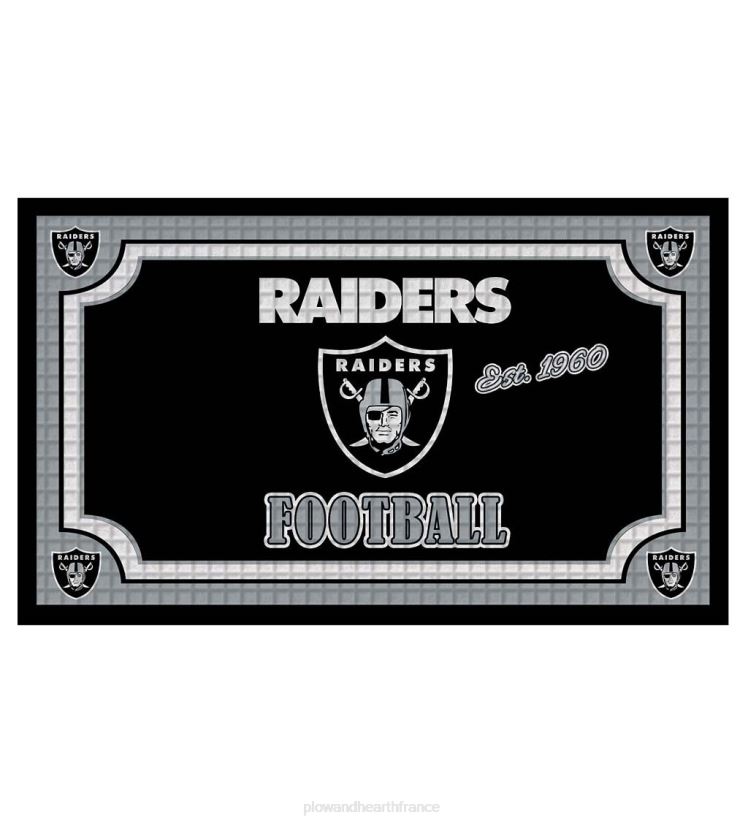 Plow & Hearth saisonniers et cadeaux paillasson en relief intérieur/extérieur nfl team Pride - Houston Texans 0BNZ3091