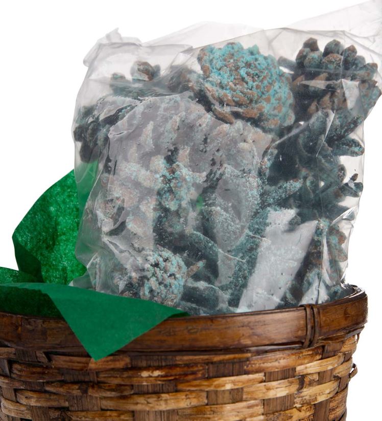 Plow & Hearth saisonniers et cadeaux Cônes de couleur de cheminée aux couleurs changeantes, 1 lb dans un panier-cadeau 0BNZ3252