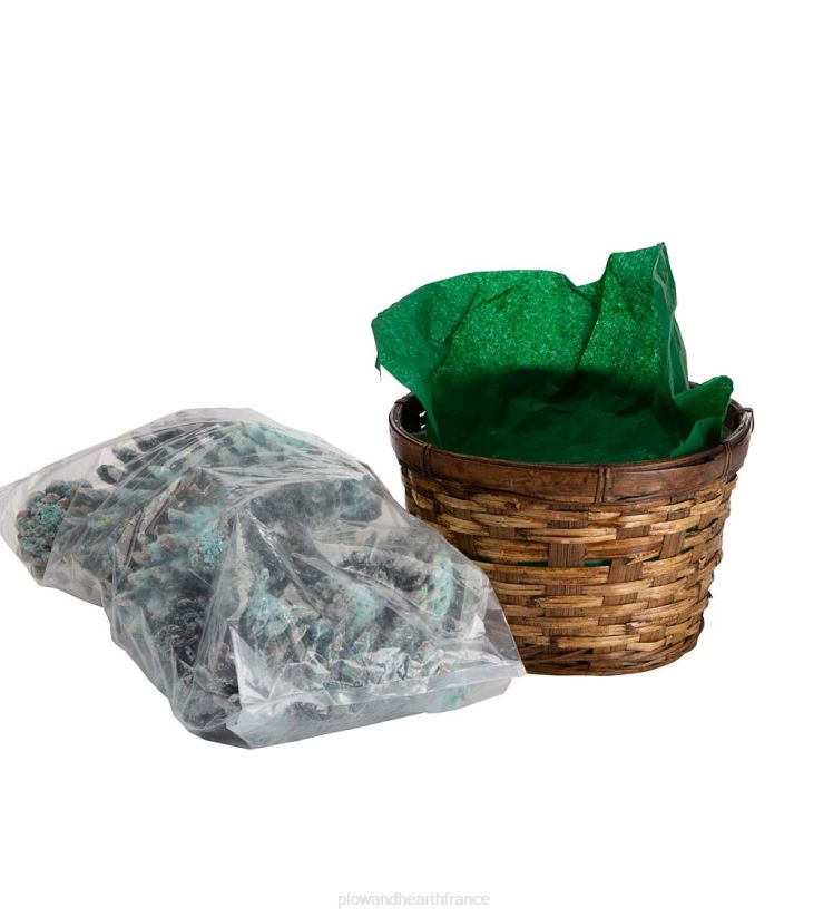 Plow & Hearth saisonniers et cadeaux Cônes de couleur de cheminée aux couleurs changeantes, 1 lb dans un panier-cadeau 0BNZ3252