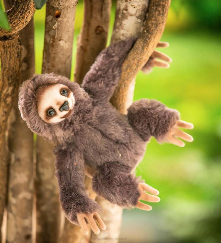 Plow & Hearth saisonniers et cadeaux Peluche paresseux de 8 pouces 0BNZ3106