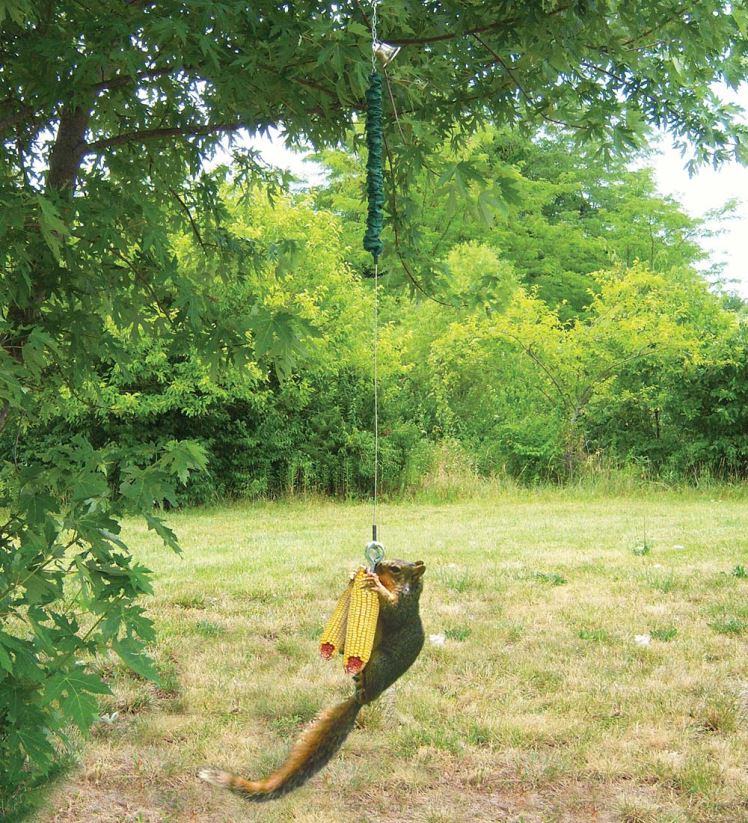 Plow & Hearth saisonniers et cadeaux mangeoire à écureuils à saut shungee 0BNZ3004