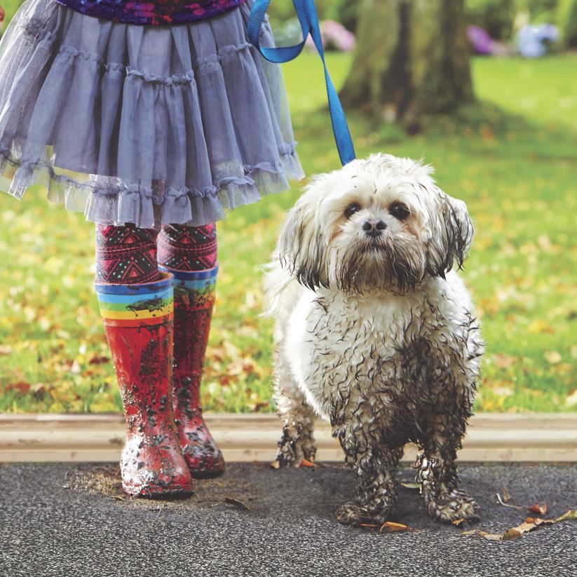 Plow & Hearth tapis et nattes Tapis de boue anti-saleté My Mat, 31