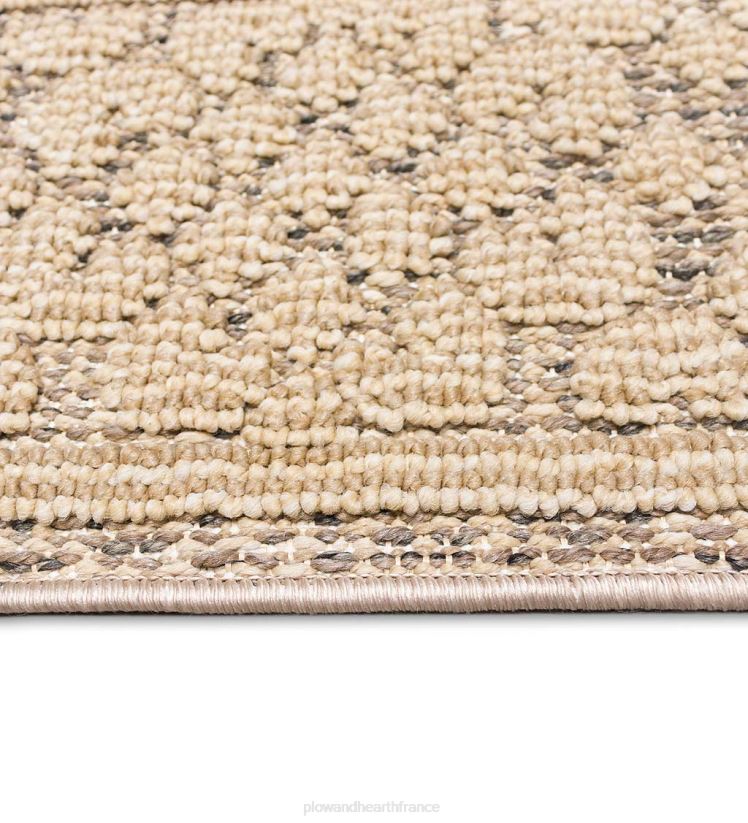 Plow & Hearth tapis et nattes Tapis intérieur/extérieur avec bordure de faucon minou 0BNZ1804